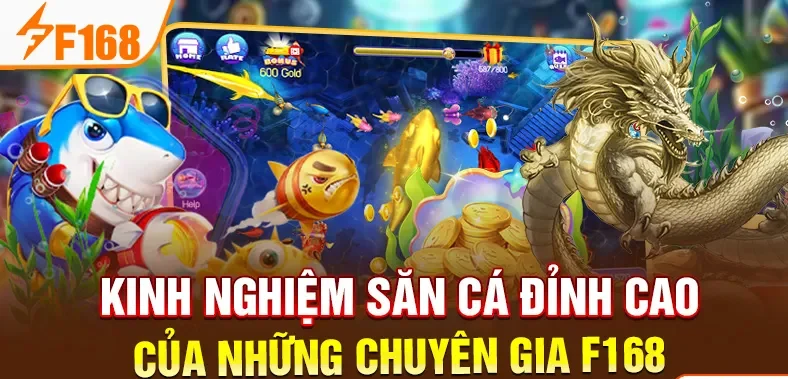 Kinh nghiệm săn cá đỉnh cao của những chuyên gia F168 Kinh nghiệm săn cá đỉnh cao của những chuyên gia F168