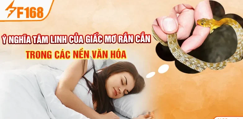 Ý nghĩa tâm linh của giấc mơ rắn cắn trong các nền văn hóa Ý nghĩa tâm linh của giấc mơ rắn cắn trong các nền văn hóa